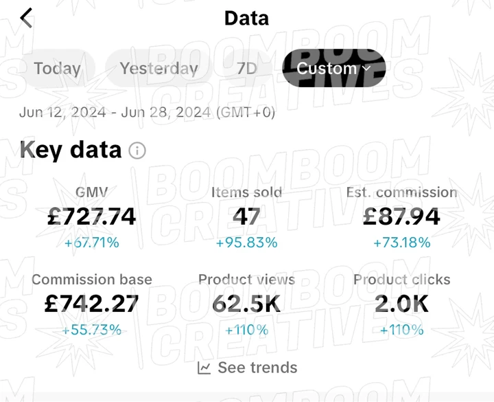 Client campaign results 13