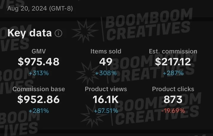 Client campaign results 24