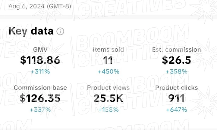 Client campaign results 31